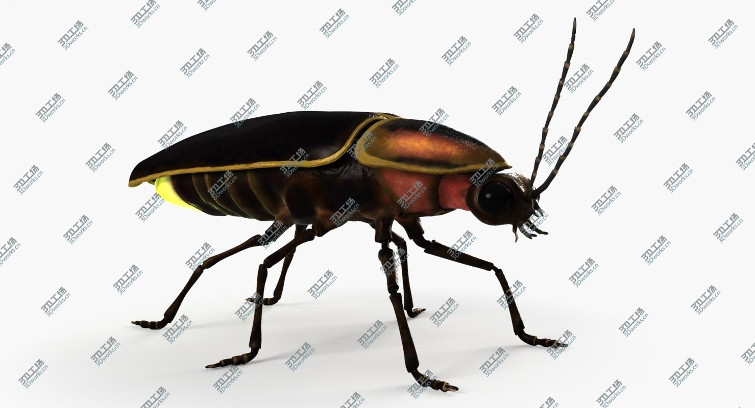 images/goods_img/20210319/3D model Firefly/2.jpg